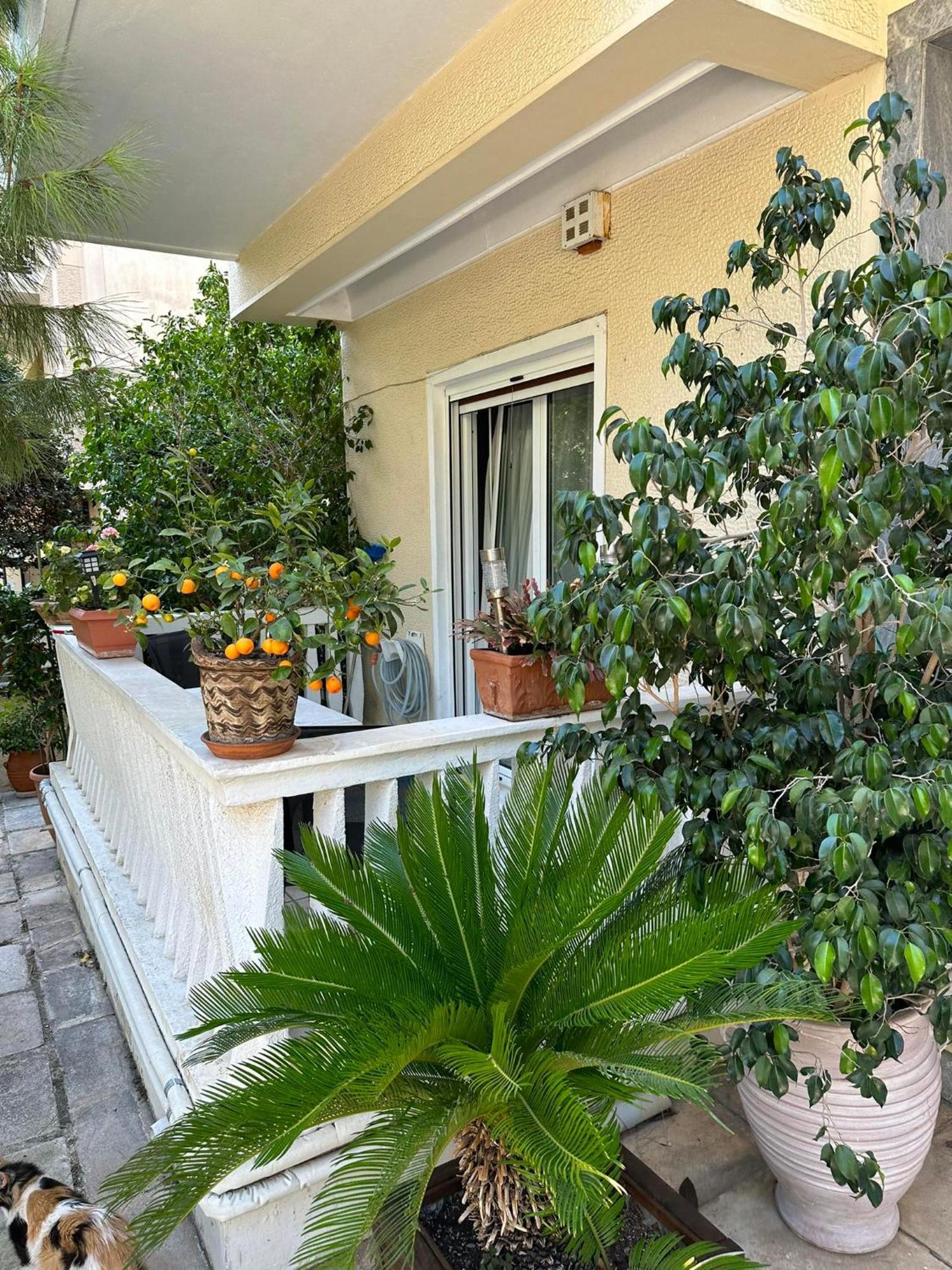 Angel , Luxury 2Bd Apartment Next To The Beach Афины Экстерьер фото